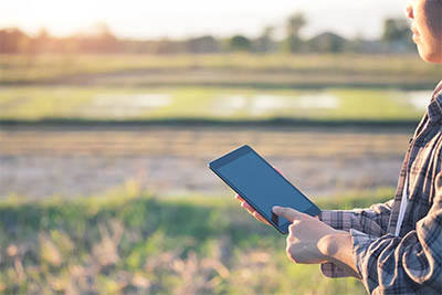 personne dans un champ tenant une tablette tactile
