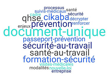 nuage de texte autour du document unique