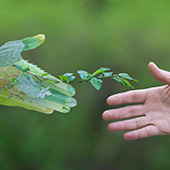 AEGIDE INTERNATIONAL _ Formation intra entreprise Environnement