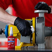 Freinfilet bleu moyen